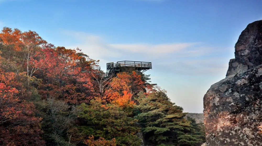 黑龍江·金龍山國(guó)家森林公園選用天時(shí)同城線上+線下一體化智慧票務(wù)管理系統(tǒng)